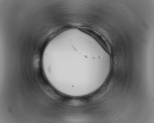X0000113870596200910221336