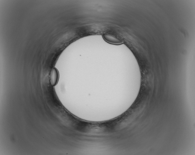 X0000113870597200910221336