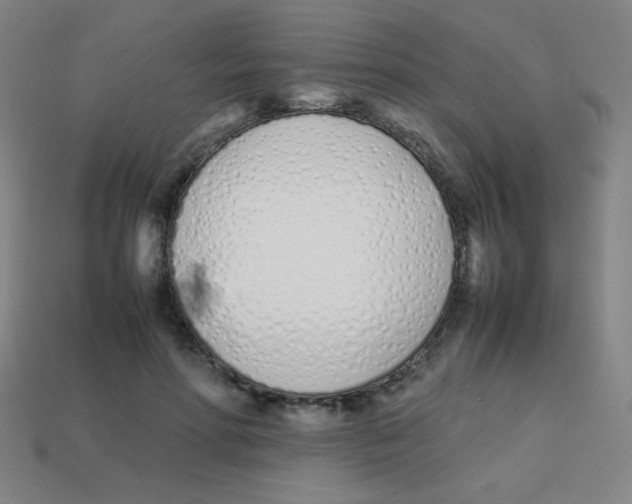 X0000113870598200910221336