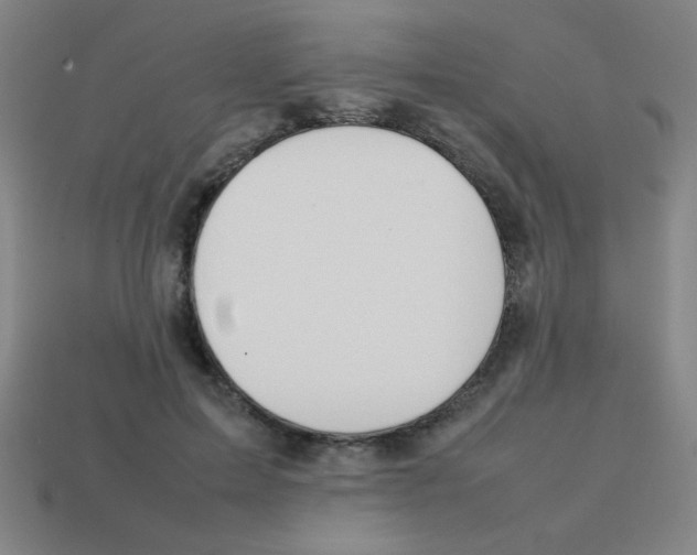 X0000113870599200910221336