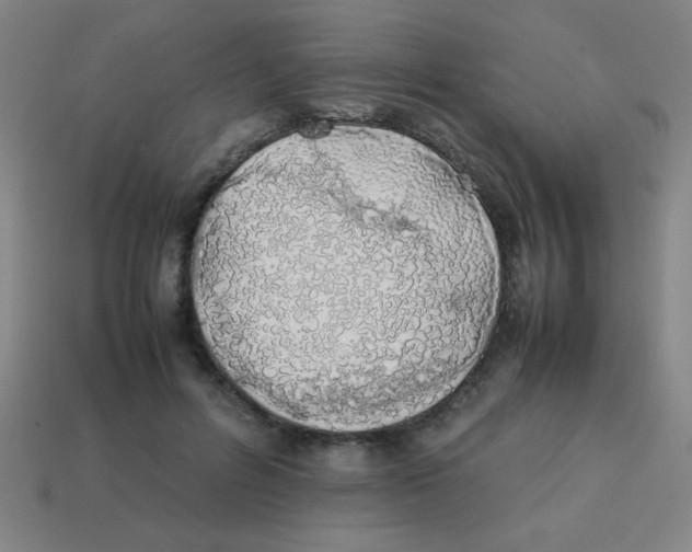 X0000113870600200910221336