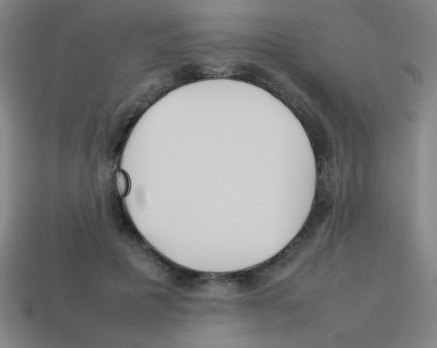 X0000113870601200910221336