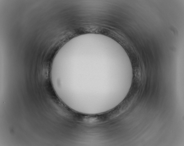 X0000113870602200910221336