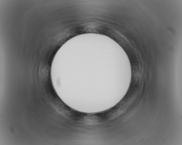 X0000113870603200910221336