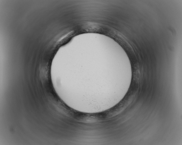 X0000113870604200910221336