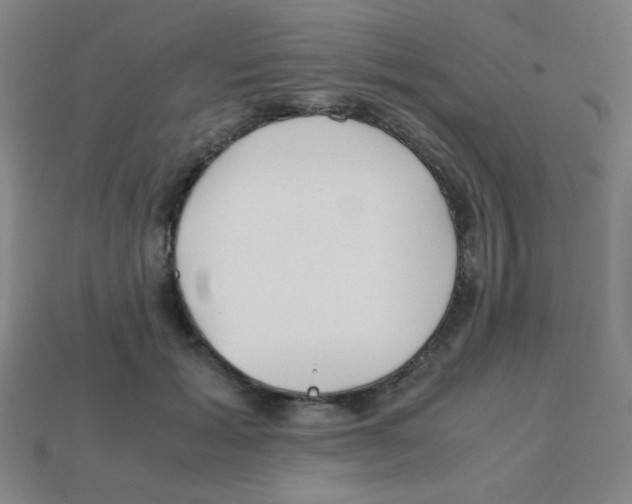 X0000113870605200910221336