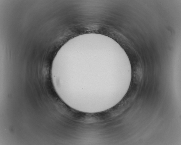 X0000113870608200910221336