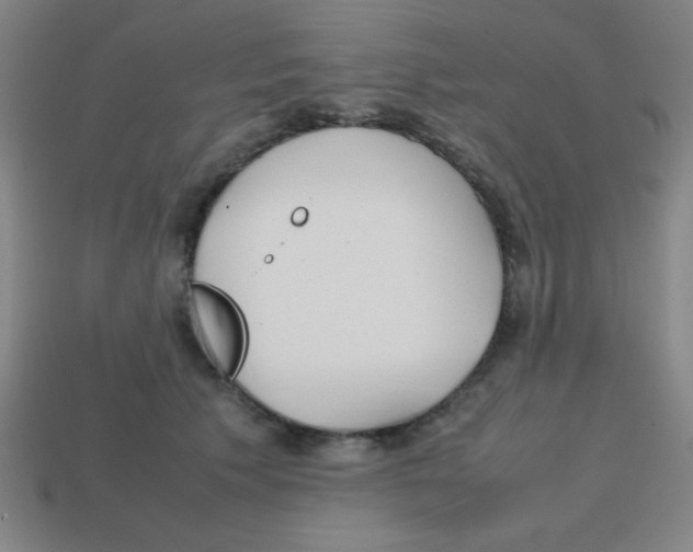 X0000113870609200910221336