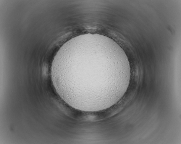 X0000113870610200910221336