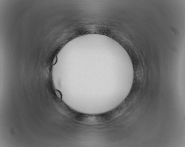 X0000113870611200910221336
