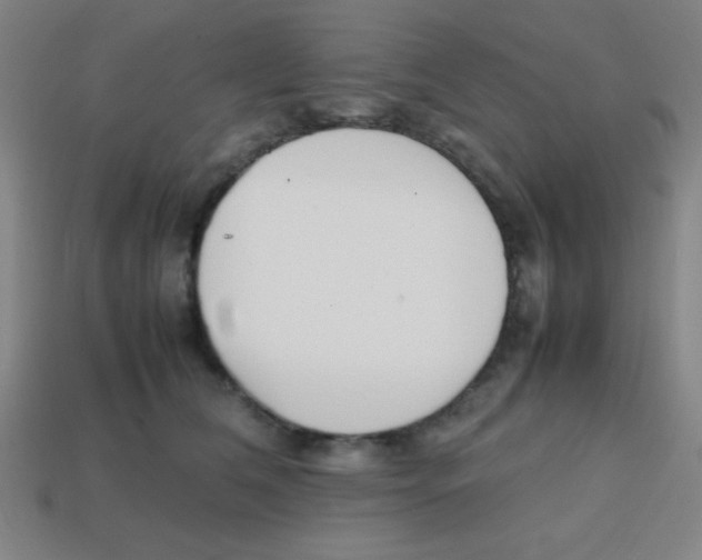 X0000113870612200910221336