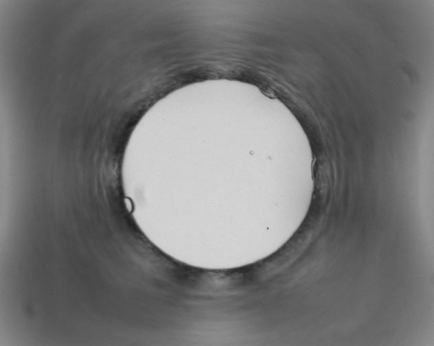 X0000113870613200910221336