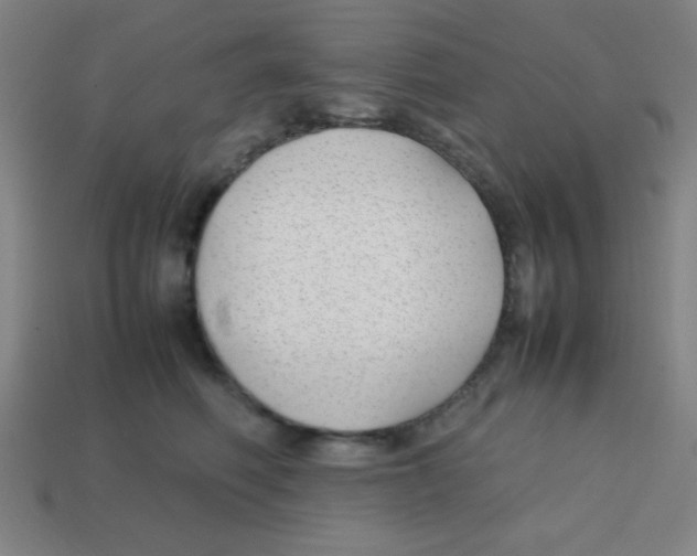 X0000113870614200910221336