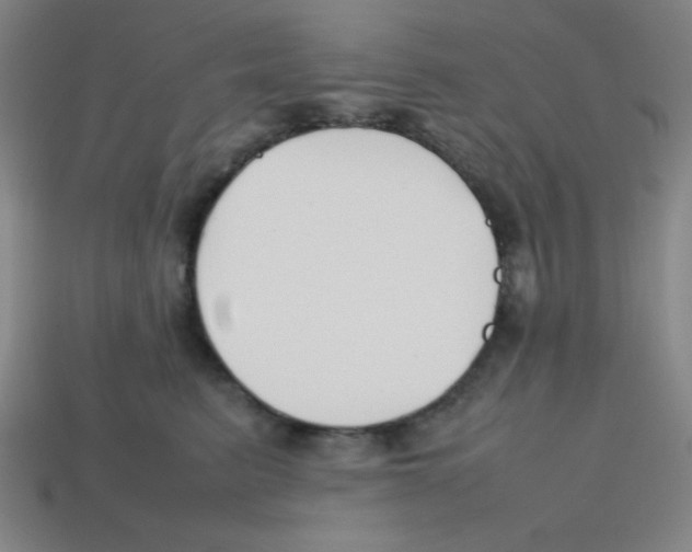 X0000113870615200910221336
