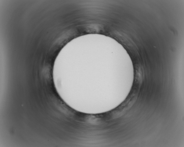X0000113870616200910221336