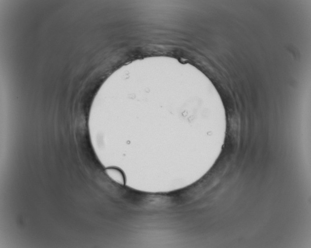 X0000113870617200910221336