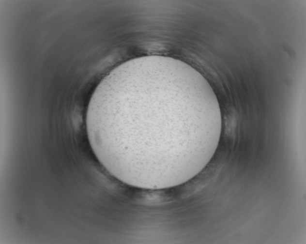 X0000113870618200910221336