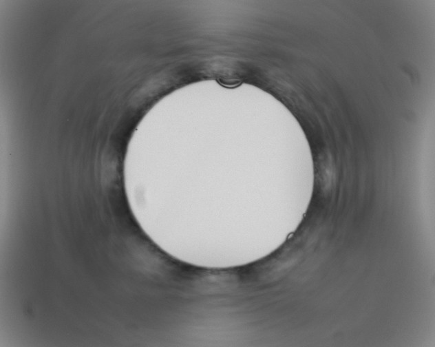 X0000113870619200910221336