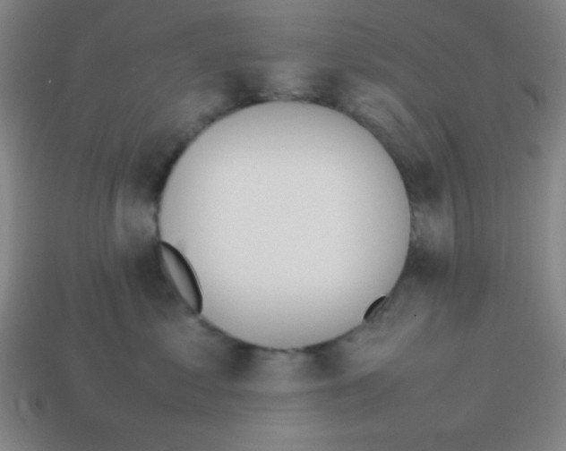 X0000113870621200910221336