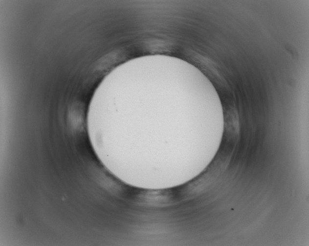 X0000113870622200910221336