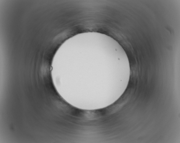 X0000113870623200910221336