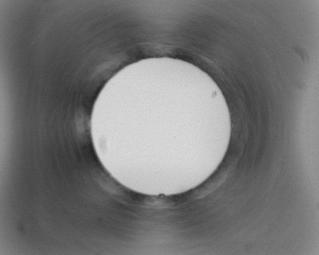 X0000113870624200910221336