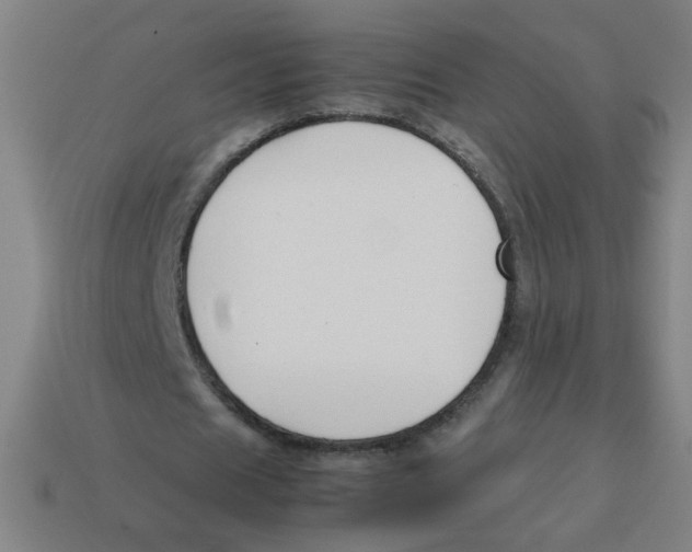 X0000113870625200910221335
