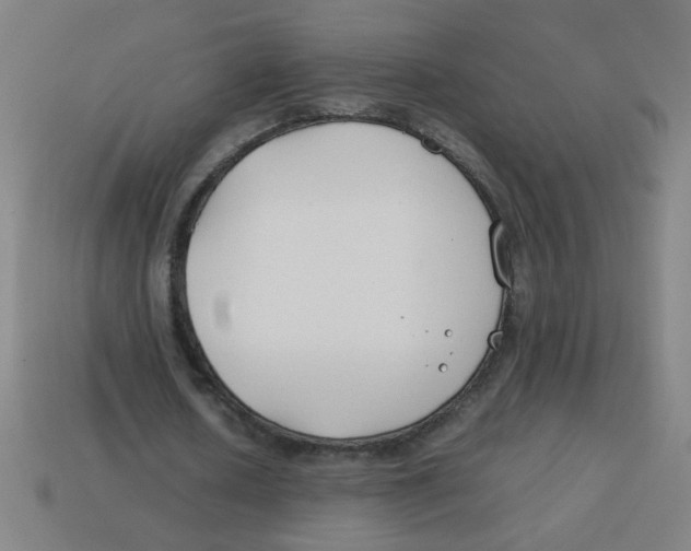 X0000113870626200910221335