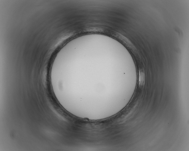 X0000113870627200910221335