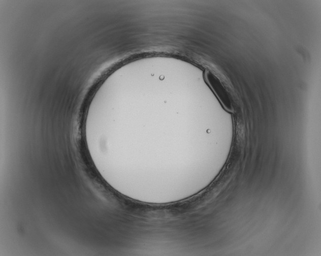 X0000113870628200910221335