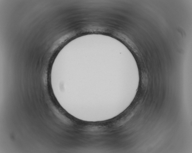 X0000113870629200910221335
