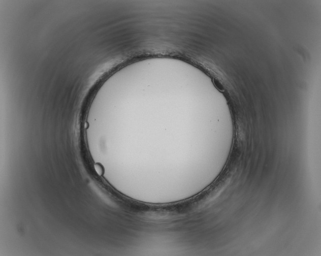 X0000113870630200910221335