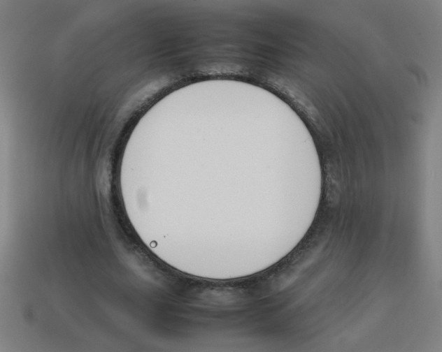 X0000113870631200910221335