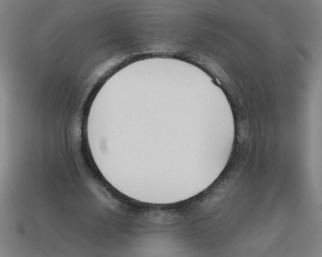 X0000113870632200910221335