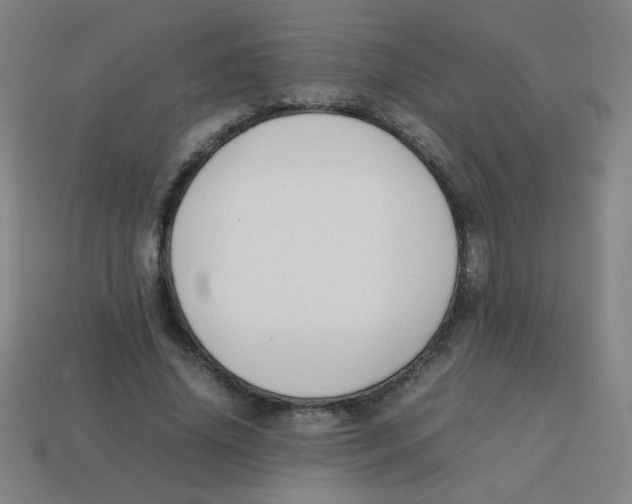 X0000113870636200910221335