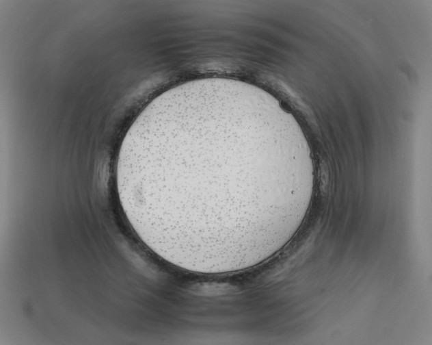 X0000113870637200910221335