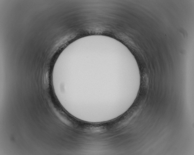 X0000113870638200910221335
