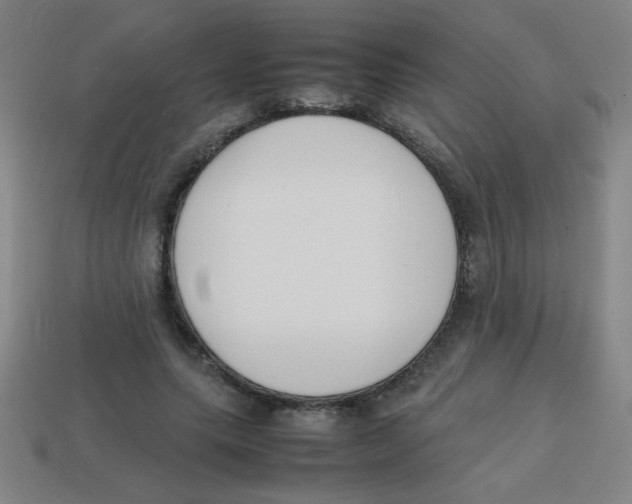 X0000113870639200910221335