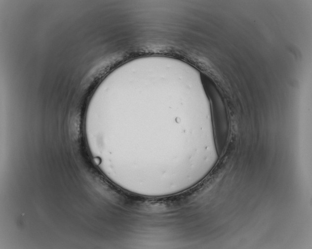 X0000113870640200910221335