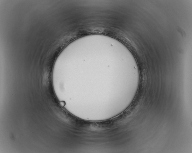 X0000113870641200910221335