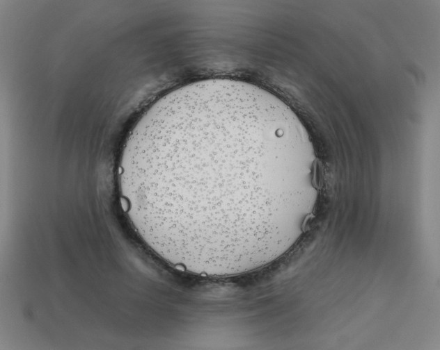 X0000113870642200910221335