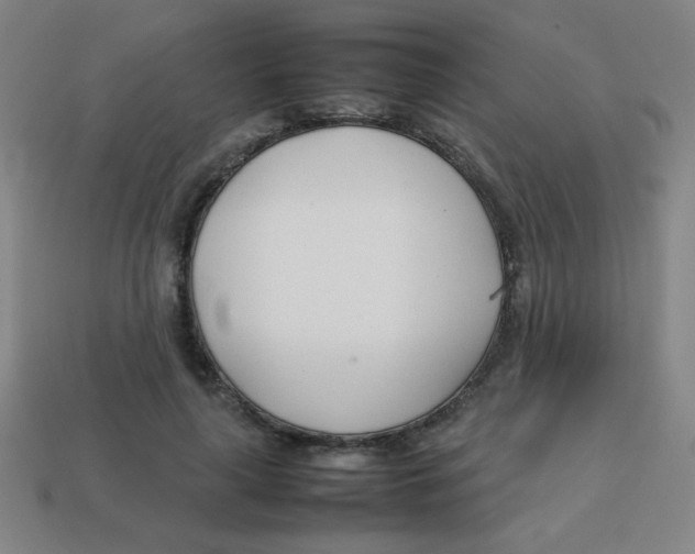 X0000113870643200910221335