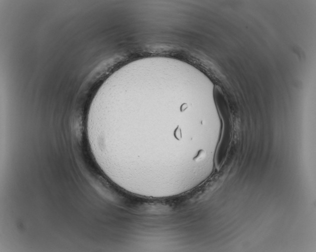 X0000113870644200910221335