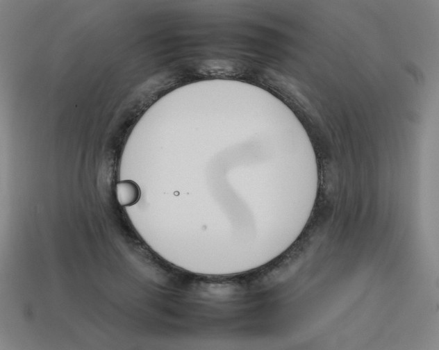 X0000113870645200910221335