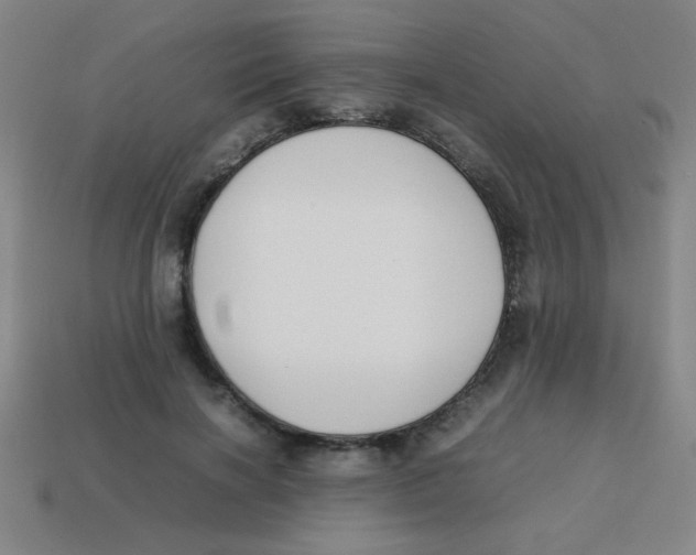 X0000113870646200910221335