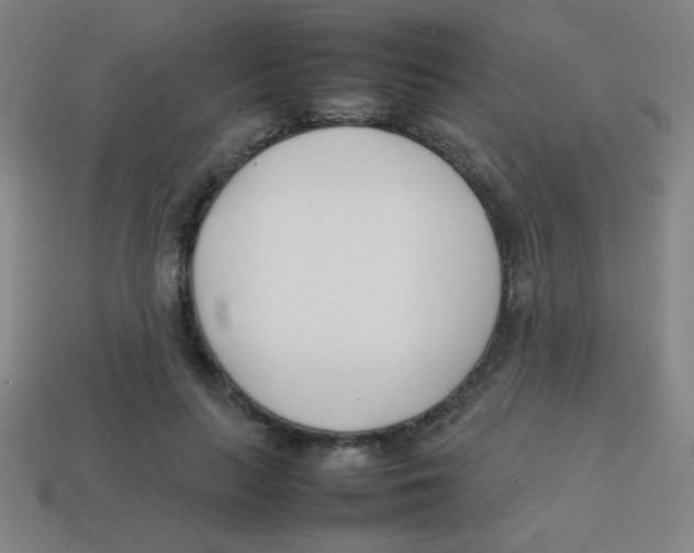 X0000113870647200910221335