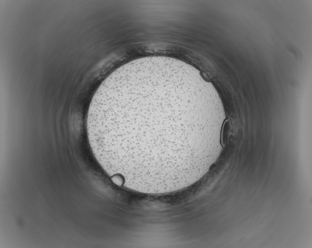 X0000113870648200910221335
