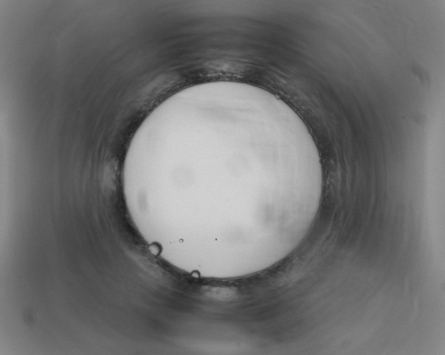 X0000113870649200910221335