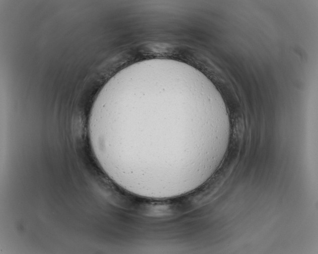 X0000113870651200910221335