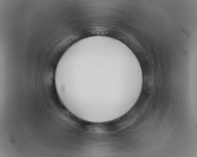 X0000113870652200910221335